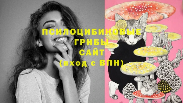 mix Армянск