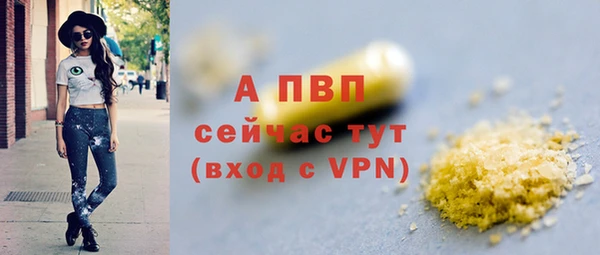 стаф Арсеньев