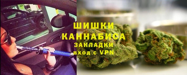 стаф Арсеньев